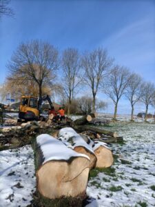 0d7df3f7-fd8a-4806-bbca-3d3f013cb915