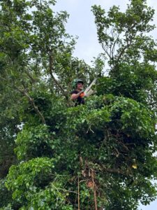 38b5faec-de2e-41c4-95fd-711f71087e5d