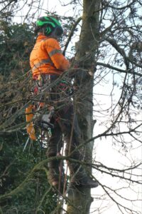 7388838e-19c4-4854-adb1-850b040e5182