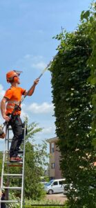 a0751359-11c8-4eaf-91af-2b61bcaa51c9 copy