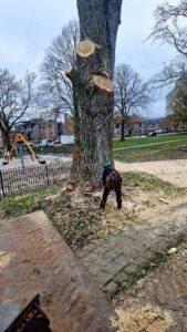 rooien vanaf de grond